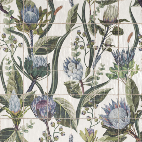 Mural Protea multicouleur brillant 120X120 cm carrelage Effet Traditionnel