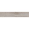 Cuzco Grijs 23X120 cm tegel met houtlook