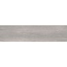 Powder Wood Silver 22,5X90 cm Cement effect tegels