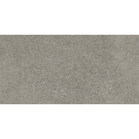 Geneve Cendre 30X60 cm carrelage effet Rustique