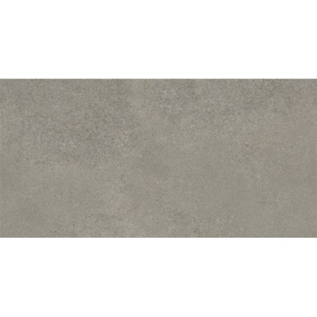 Nyon Cendre 60X120 cm Rustiek effect tegels