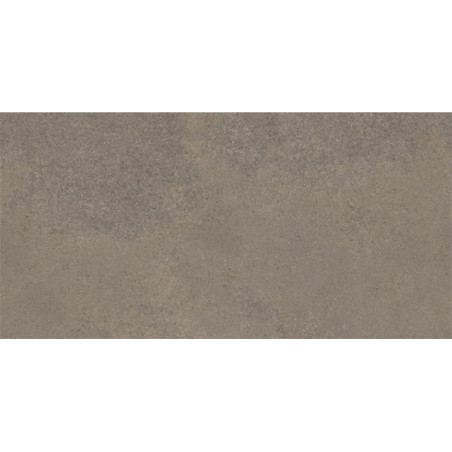 Nyon Terre 60X120 cm carrelage effet Rustique