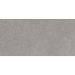 Rex Grijs 60X120 cm Cement Effect Tegel