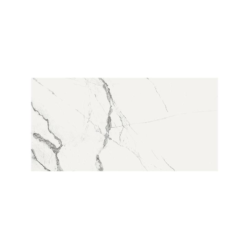 New Ice NPLUS Blanc Brillant 60X120 cm carrelage Effet Marbre