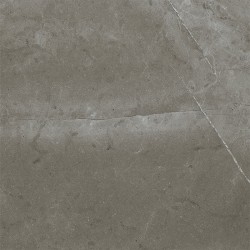 Fenix Gris Mat 75X75 cm...