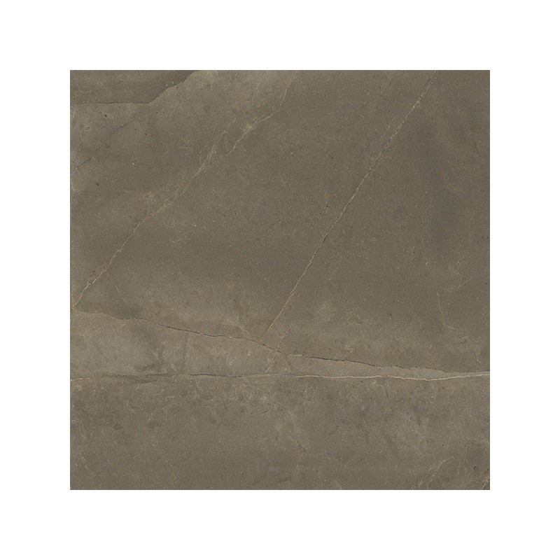 Fenix Naturel Mat 75X75 cm carrelage Effet Marbre