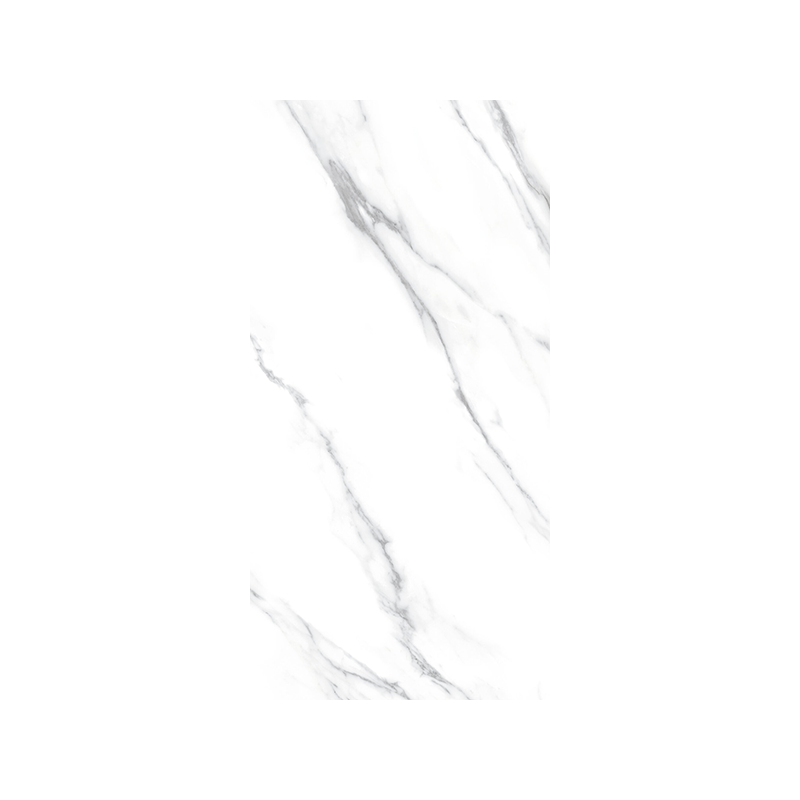 Decor. Carrara B NPLUS 60X120 cm carrelage Effet Marbre - Fanal