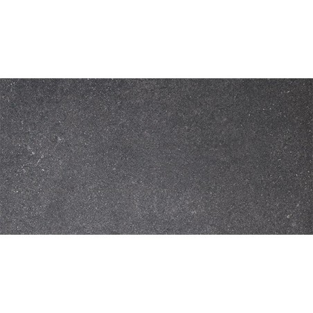 Tyndall Graphite Mat 30X60 cm carrelage Effet Pierre