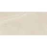 Tyndall Sable Mat 60X120 cm tegels met steeneffect
