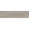 Carelia Cenere 22,5X90 cm carrelage effet Bois - Argenta