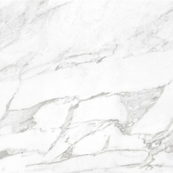 Carrara White Shine 60X60...