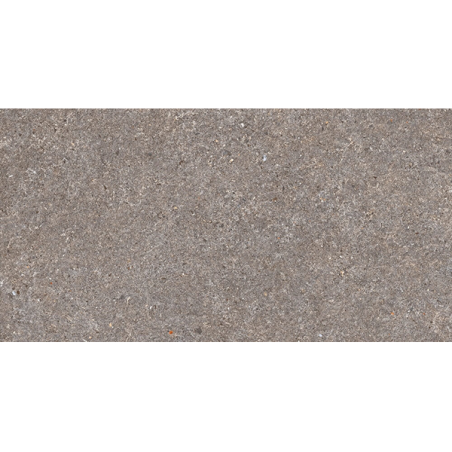 Belgravia gris mat 30,3X61,3 cm carrelage Effet Pierre